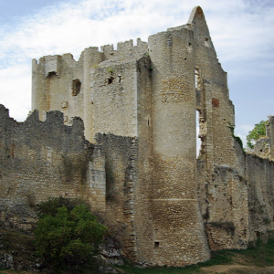 Angles-sur-l'Anglin, castle.png