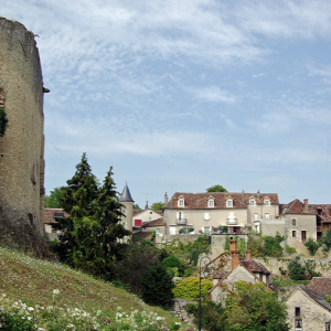 Angles-sur-l'Anglin.png