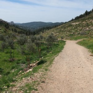 Walk from Ein Kerem