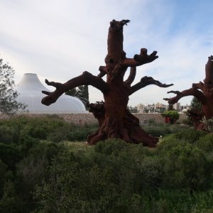 Israel Museum