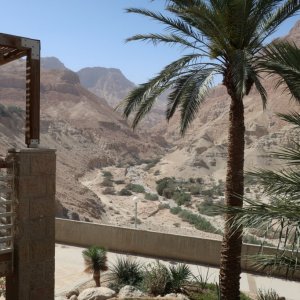 View from our room