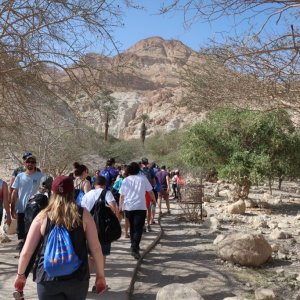 Ein Gedi