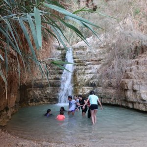 Ein Gedi