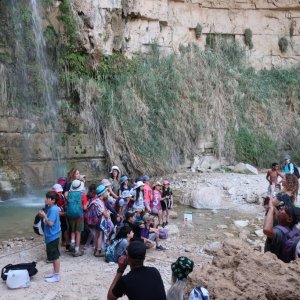 Ein Gedi