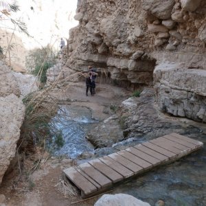 Ein Gedi
