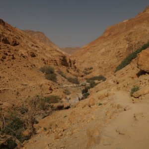 Hiking up Wadi Arugot