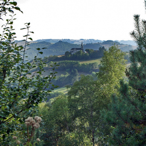 Scenery Lot Valley