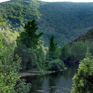 River Lot