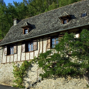 Viellevie