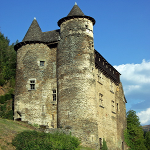 Château de Viellevie