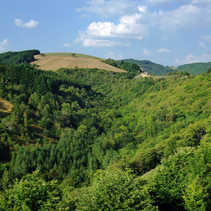 Near Le Fel