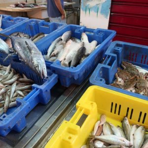 Akko (Acre) Market