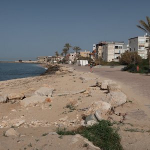 Haifa