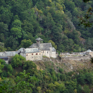 Bez Bedène