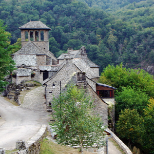 Bez Bedène