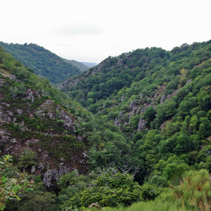 Bez Bedène  - gorge