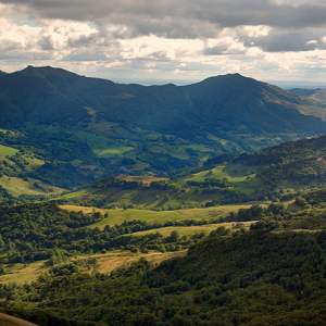 Jordanne Valley