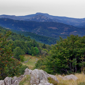 Massif Central
