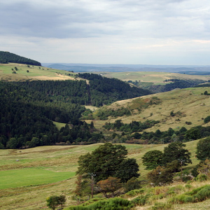 Massif Central