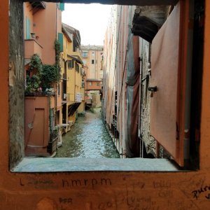 Bologna day02-08