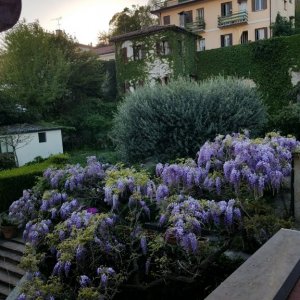 Bologna day03-06