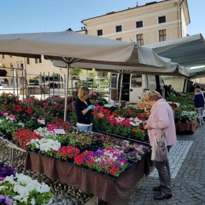 Conegliano day04-02