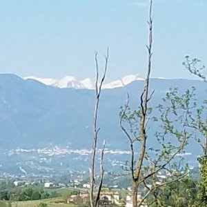 Conegliano day04-17