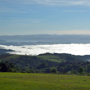 Mist in the Loire valley