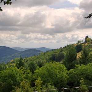 Lalouvesc  - view from Basilica Saint-Jean-François-Régis
