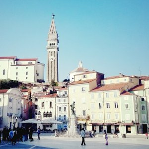 Trieste day8-12