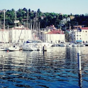 Trieste day8-13