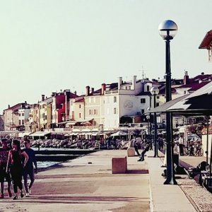 Trieste day8-14