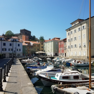 Trieste day9-08
