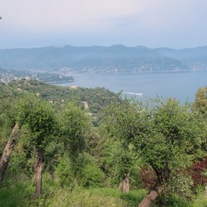 Walk: San Fruttuoso - Santa Margherita Ligure