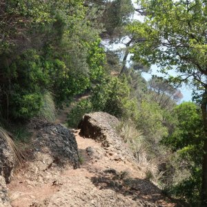 Walk: San Fruttuoso - Santa Margherita Ligure