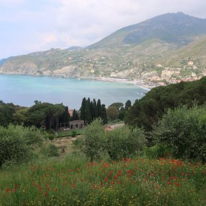 Hike from Levanto to Monterosso