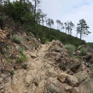 Hike from Levanto to Monterosso