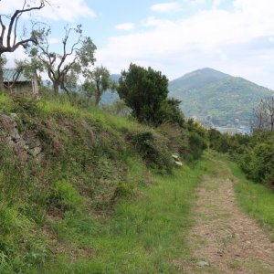 Hike from Levanto to Bonassola