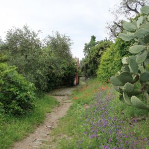 Hike from Levanto to Bonassola