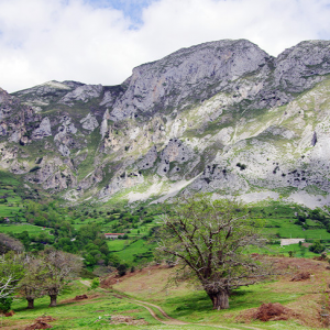 Above Pendes on the west side of the Deva valley