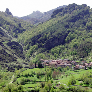 Cucayo