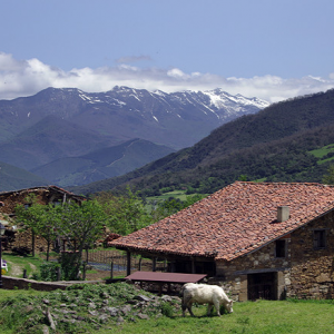 Mogrovejo, Deva valley