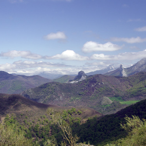 On the way to the San Glorio Pass on N-621