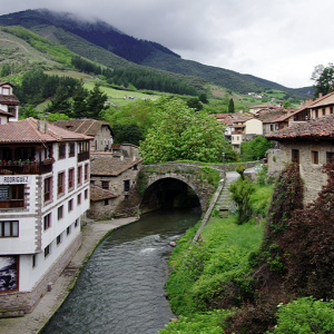 Potes