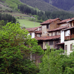 Potes