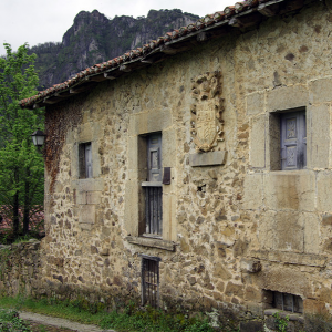 Mogrovejo