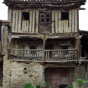 Mogrovejo