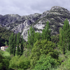 Mountains above Iglesia Santa Maria de Lebaña