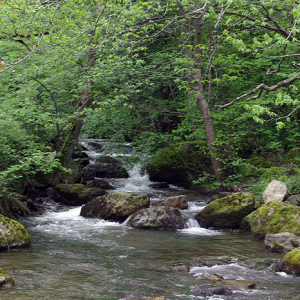 Aniezo - stream powering village industry