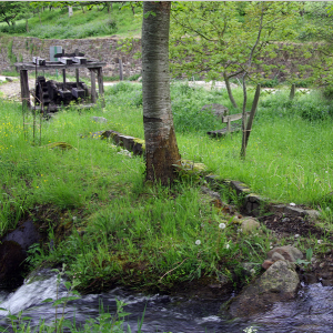 Aniezo - leat to fulling mill